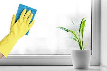 Human hand wipes condensation from window in the room