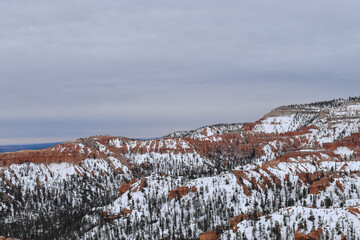 Winter in Canyon Bryce National Park, Utah