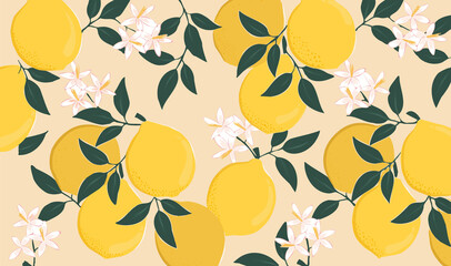 Fototapeta na wymiar Pattern of citrus fruits and flowers