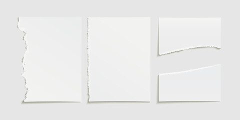 vector torn paper. torn sheet with realistic texture