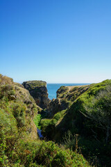 Exploring the coastal trail in Point Reyes Station in California