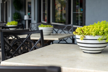 Tables and chairs on a patio terrace of a restaurant off a sidewalk. Each table has a flower pot with greenery. The cafe wall is grey with black trim. The garden furniture is black and white metal. 