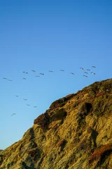 Cercles muraux Plage de Baker, San Francisco Shot of the birds flying over Baker Beach in San Francisco, California