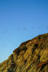 Cercles muraux Plage de Baker, San Francisco Birds flying over Baker Beach in San Francisco, California