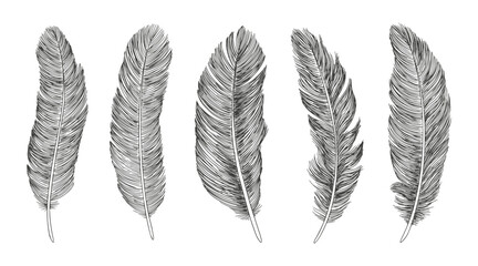 Feather icon set. Hand drawn illustration. Doodle sketch.