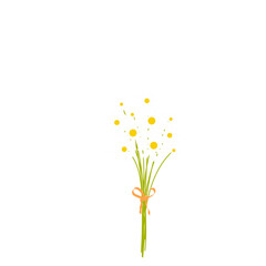 Daisy Illustration vector