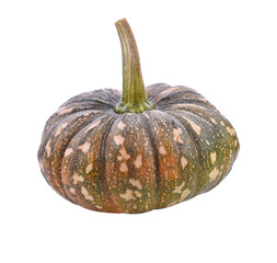 Slice of pumpkin isolated transparent png
