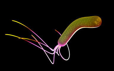 3D illustration - Pseudomonas aeruginosa bacteria - 574103703