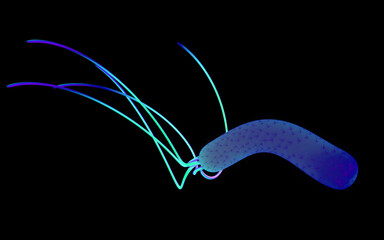 3D illustration - Pseudomonas aeruginosa bacteria