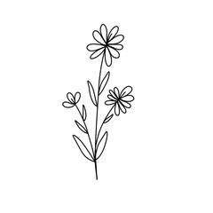 Illustration of flower line art vector
