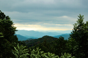 Blue Ridge Mountains Framed By Trees
