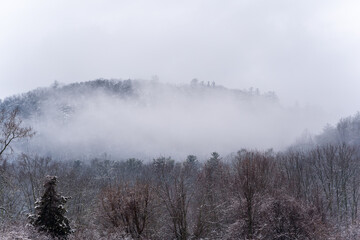 Fototapeta na wymiar fog in the forest mountains
