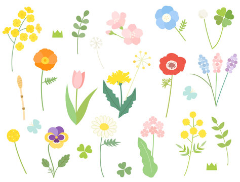 菜の花や桜・ミモザなどの春の花のイラストセット