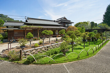 Fototapeta na wymiar 高尾駒木野庭園, 日本庭園,盆栽