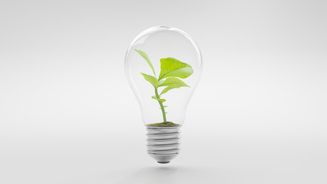 Tree growing in light bulb isolated on white background.