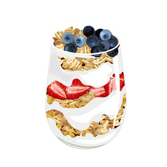 yogurt parfait with fruits and granola. Low calorie food.Healthy food hight nutrition and low fat menu. Authentic breakfast menu vector drawing illustration on white background.