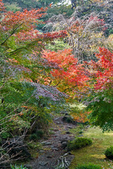 Fototapeta premium 国際文化会館, 日本庭園