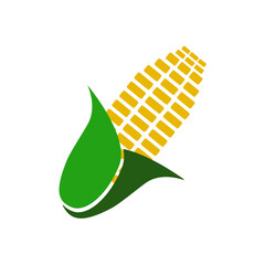Corn icon. Harvest. Grain. Vector.