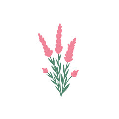 Aesthetic Floral Vector