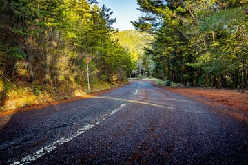 Fototapeta premium 峠の道路