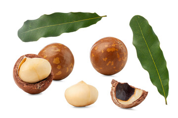 shelled and unshelled macadamia nuts with leaves isolated on white background.