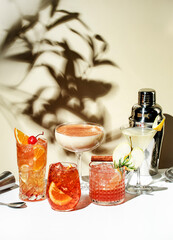 Cocktail party. Bright fruity and citrus alcoholic drinks with gin, vodka, vermouth and juice....