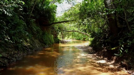 River stream through the forest of Paraguay. (Aerial view)