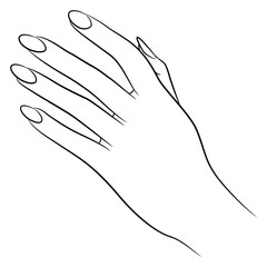 Beautiful female hand with long nails. Reaching or touching gesture. Black and white linear silhouette.