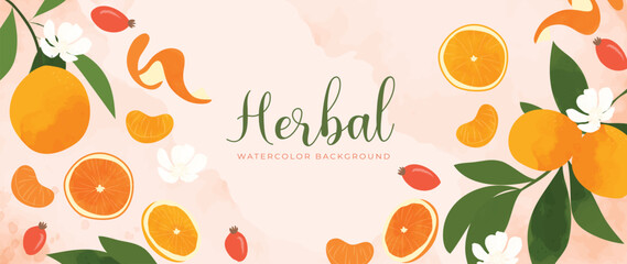Botanical herbal watercolor background vector. Hand drawn fresh aromatic orange, rosehip, flowers, leaf branch. Natural garden design for wallpaper, cover, advertising, healthcare product, cosmetics.