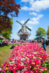 People enjoy colorful tulips on sunny day at the Keukenhof flower garden, Lisse, The Netherlands,...