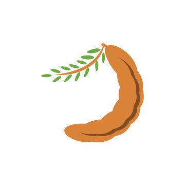 brown tamarind fruit with green leaves clip art preview