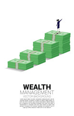 Silhouette of businesswoman standing point ahead on top of growth graph with stack of banknote. Concept of success investment and growth in business