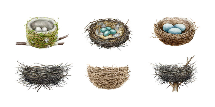 Birds nest hand drawn illustration big set. Watercolor realistic detailed bird natural houses made of sticks, dry grass, straw, branches. Various nests with eggs and empty element collection
