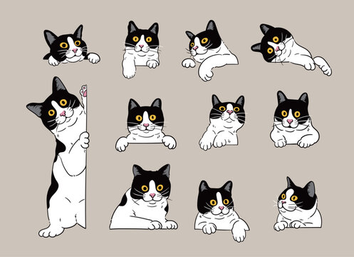 cartoon curious peeking tuxedo cats