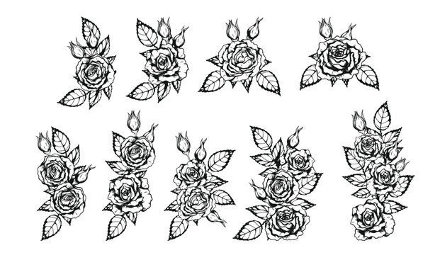 Rose ornament vector by hand drawing.Beautiful flower on white background.Anne Harkness rose vector art highly detailed in line art style.Flower tattoo for paint or pattern.