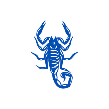 vector illustration of a blue scorpion