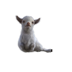 Goat baby character on transparent background. 3d rendering illustration for collage, clipart, composting, pose