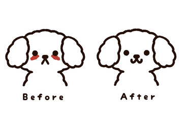 涙やけのある犬のビフォーアフター