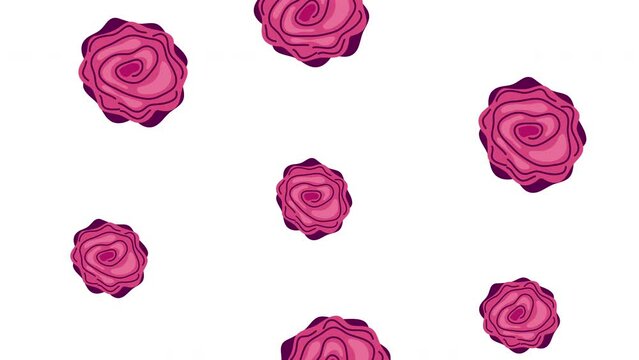 red roses flowers nature animation