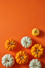 Many halloween pumpkins arranged at the bottom. Top view. Blank space for text or product promotion.