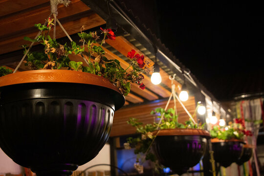 PLANTAS Y MACETEROS COLGANTES ILUIMINADO CON FOCOS AMARILLOS