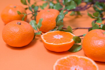 みかんと植物を斜め上から撮影した写真