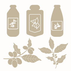 vector set of herbs