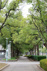 臨港公園プロムナード 千葉みなと