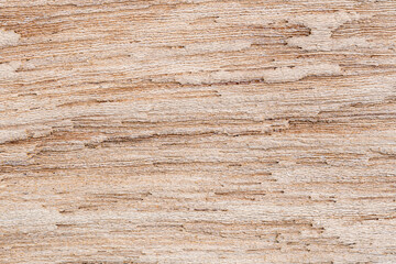 Top view of rotten wooden wall background. Closeup view texture of natural old wood.