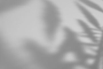 Naklejka premium Soft Shadow Overlay