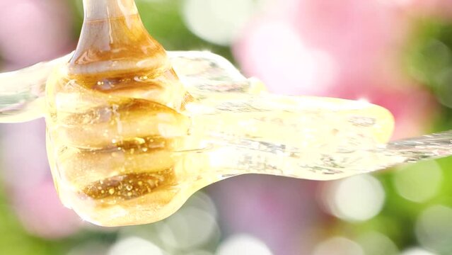 Vertical dripping and pouring natural honey from wooden dripper over pink flower