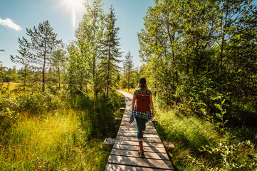 Mountain landscape in Slovakia mountains, Juranova dolina - valley in The Western Tatras national park, oravice, Orava region. Educational trail through the bog © Zedspider