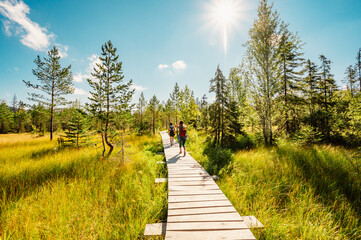 Mountain landscape in Slovakia mountains, Juranova dolina - valley in The Western Tatras national park, oravice, Orava region. Educational trail through the bog © Zedspider