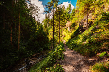 Mountain landscape in mountains, Juranova dolina - valley in The Western Tatras national park. Slovakia, oravice, Orava region. © Zedspider